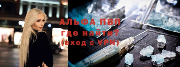 прущие грибы Пересвет
