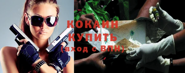 ECSTASY Белокуриха
