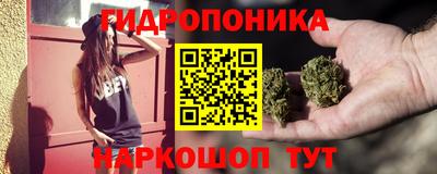 прущие крисы Партизанск