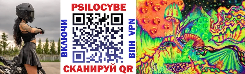 hydra вход  закладки  Находка  Псилоцибиновые грибы мицелий 