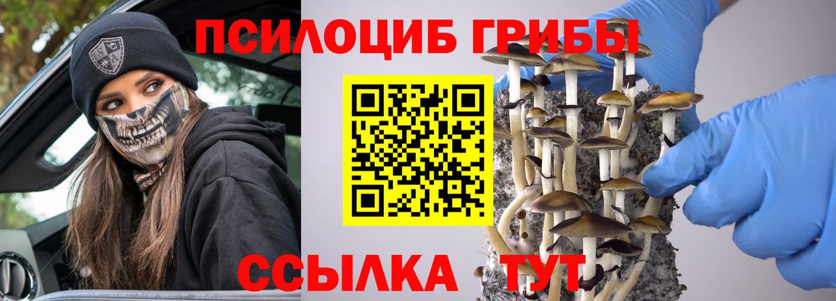 Находка  закладка  Вход с VPN  Псилоцибиновые грибы мицелий 