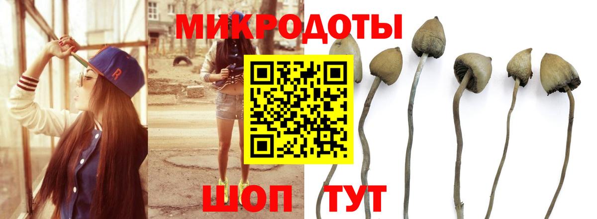Псилоцибиновые грибы MAGIC MUSHROOMS Находка